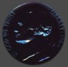 1964 proof Jeff black beauty.jpg