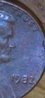 100_2226q.jpg