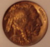 1929 Buff (2).JPG