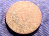 18862.jpg