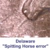 1999del sh1web.jpg