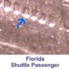 floridaguy web.jpg