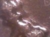 Copy of minn200x2web.jpg