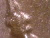 minn2 200 2web.jpg