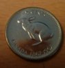 rabbitnickel_zps2e5badff.jpg