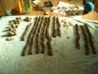 DSCN0906.jpg