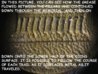 pic 02 trails through pillars and on down lower half of coin.jpg