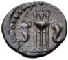 Megaris AE Dichalkon b.jpg