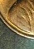 IMG_20130628_213833.jpg