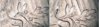 branch comparison.jpg