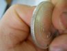 coin talk 002.jpg