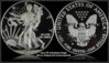 2013 W American Eagle Silver Enhanced Uncirculated.jpg