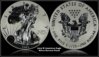 2013 W American Eagle Silver Reverse Proof.jpg
