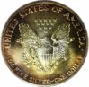 1987_ASE_rev_toned.jpg