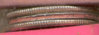 2000 P Mass quarter edge.jpg