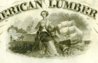 NoAm Lumber vig woman.jpg