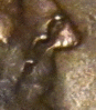 096.gif