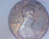 Image3715.jpg