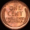 CSC_0225.JPG