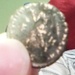 thumb4.jpg
