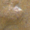 1980P001d.jpg