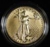 Uncirc 2006 Aniv Eagle.jpg