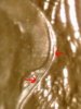 DSCI0005.JPG