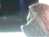 dime side.gif