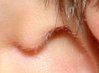 IMG_4923_crop.jpg