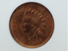 coin.png