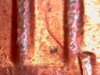 83P1DO0151.jpg