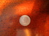 DSCN1396.JPG
