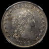 S$1-18021-crop-o.JPG