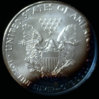 113R.jpg