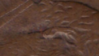1996 d ear ear.PNG