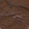1996 d ear ear0.PNG