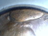 82 lg date copper cud (1).jpg