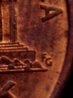 19992 d close AM penny FG close up.JPG