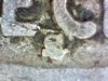 Image40.jpg
