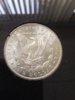 GSA 1885 CC back.jpg