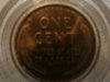 GEDC1125.JPG