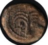 Copy of coin1a.jpg