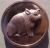 NewPig01.jpg