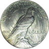 1928 USA Dollar AU58 Rev.JPG