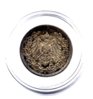 coin049.jpg