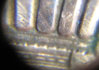 1983 2.jpg