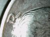 1971 D Half SD Fur R.JPG