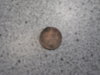 DSCF0817.JPG