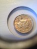 1 dollar gold 1851 american2.jpg