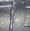 4 - Copy.jpg